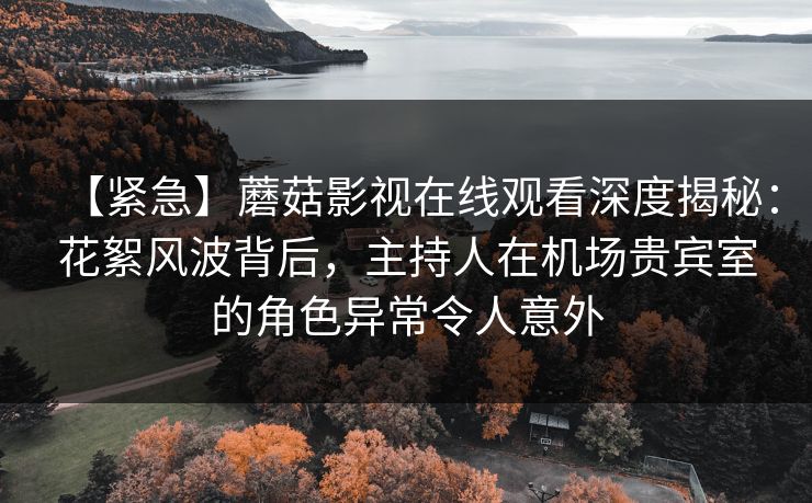 【紧急】蘑菇影视在线观看深度揭秘：花絮风波背后，主持人在机场贵宾室的角色异常令人意外