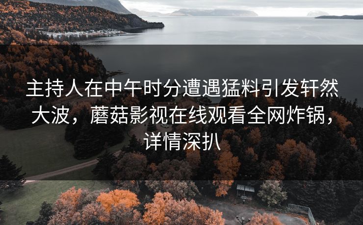 主持人在中午时分遭遇猛料引发轩然大波，蘑菇影视在线观看全网炸锅，详情深扒
