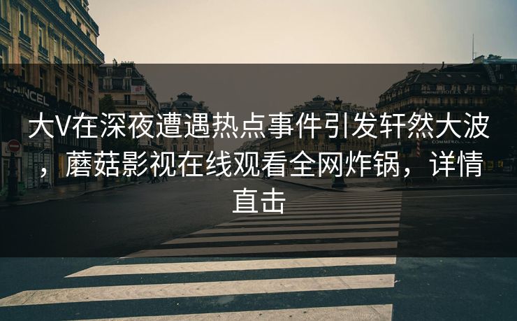 大V在深夜遭遇热点事件引发轩然大波，蘑菇影视在线观看全网炸锅，详情直击