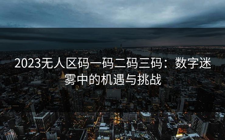 2023无人区码一码二码三码：数字迷雾中的机遇与挑战